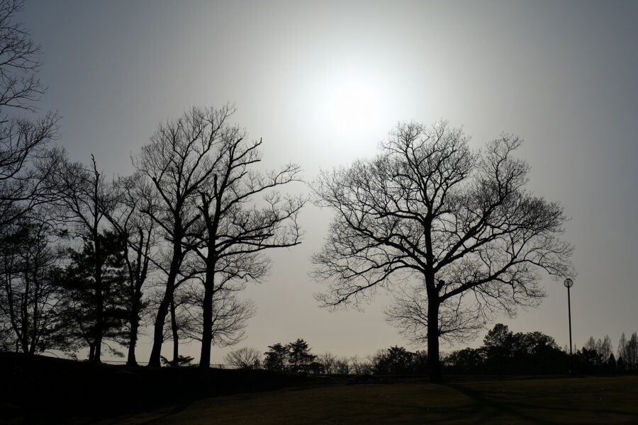 本年の診療を終了いたしました