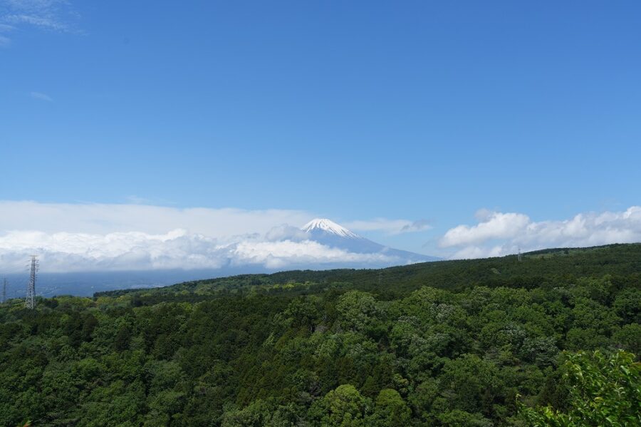開院10周年を迎えました。