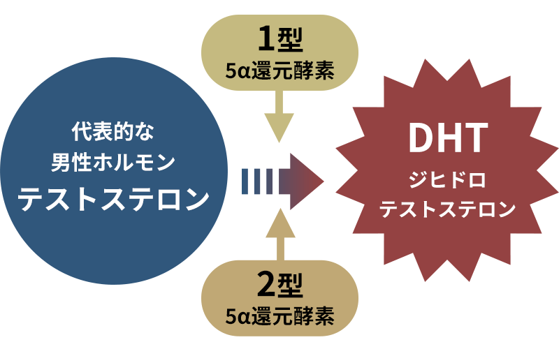 「DHT」が作られるまで