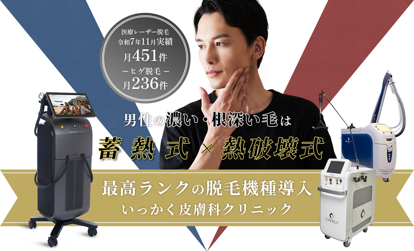 蓄熱式×熱破壊式