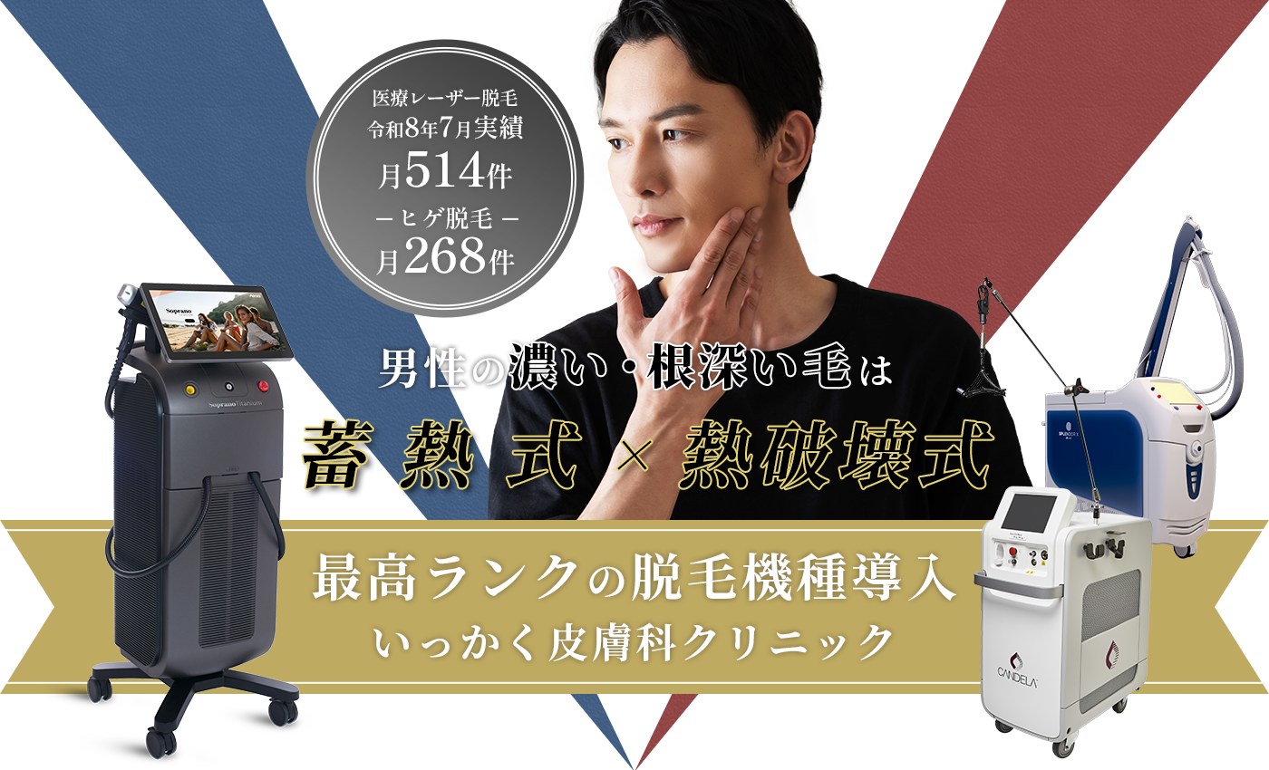 蓄熱式×熱破壊式