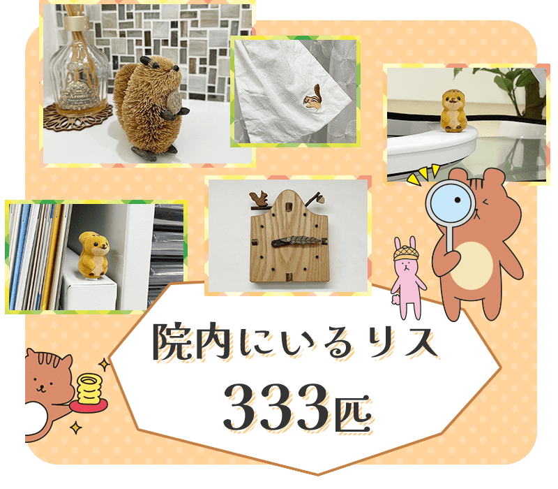 院内にいるリス